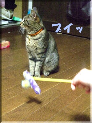 ¥×¥¤¥Ã
