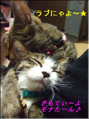 À¸¸åȾǯ