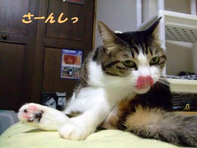 DSCF4221