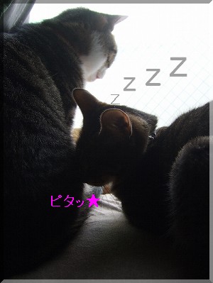 ¼¡¤Ï¥Þ¥Ë¤µ¤ó¤ÎÇØÃæ¤Ë¡ú