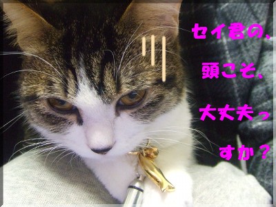 ¥À¥¤¥¸¥ç¥¦¥Ö¡©
