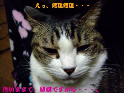 DSCF4493