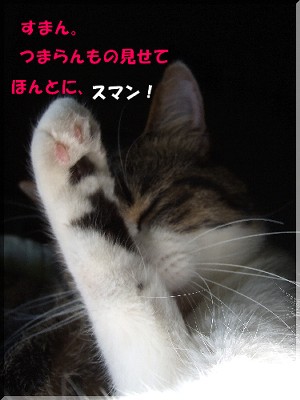 ¥¹¥Ë¥ã¥ó¡ª¡ª