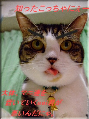 ¥¥Ã¥Ñ¥ê