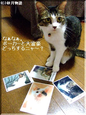 ¥È¥é¥ó¥×¡©