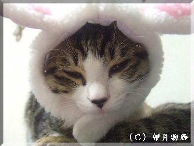 ¤¦¤µ¤Þ¤Ë¤Þ¤Ë¡£