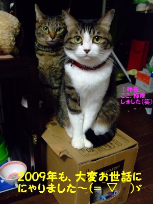DSCF4629
