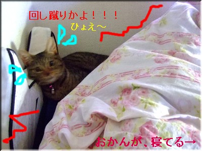¤Ò¤ç¤¨¡¼