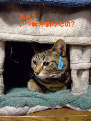 DSCF4829
