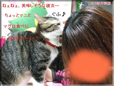 ¥Þ¥Ë¤µ¤ó¸ýÀâ¤¤ËÆþ¤Ã¤¿¡Á(¡±¢¢¡±;)޶ŽÞްŽÝ
