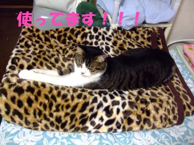 DSCF5989
