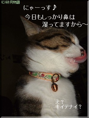 ¤Þ¤Ë¤Þ¤Ë