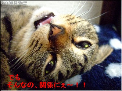¤½¤ó¤Ê¤Î
