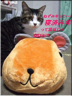 ¥Þ¥Ë¤µ¤ó¤â¡£¡£¡£¡£¡£¥Ü¥±(¡¬o¡¬;