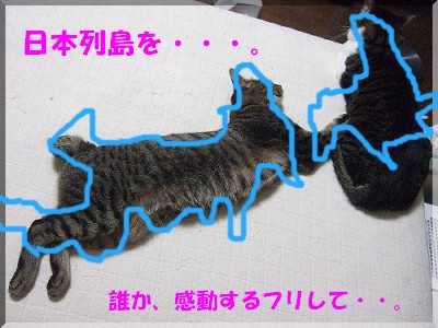 ¡¦¡¦¡¦¡¦¡¦