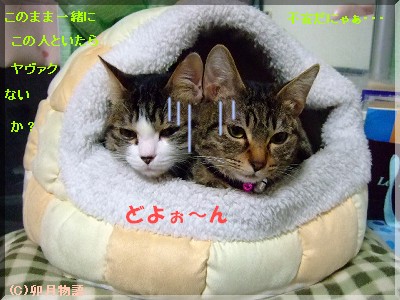 ¤Á¤ç¤Ã¤È¡¦¡¦¡¦¡¦¥¢¥Ê¥¿¥¿¥Á¡ª¡ª