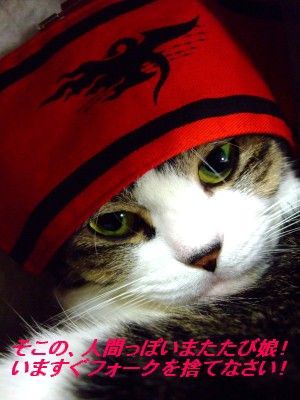 DSCF6234