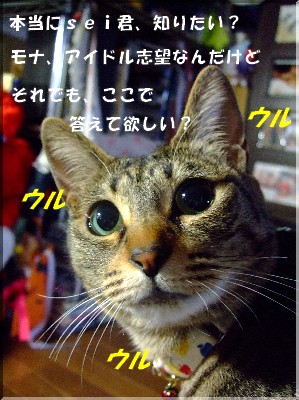 ¤¦¤ë¤¦¤ë¹¶·â¡ª¡ª