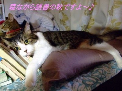 DSCF6144