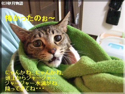 ¿·¥â¥Ê¤µ¤óÃÂÀ¸¢ö¾Ð
