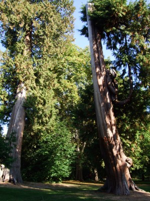 200909canada 269