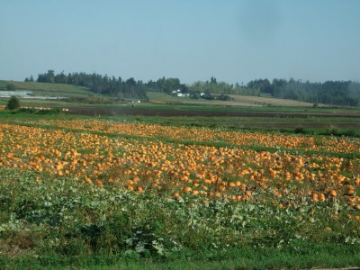 200909canada 204