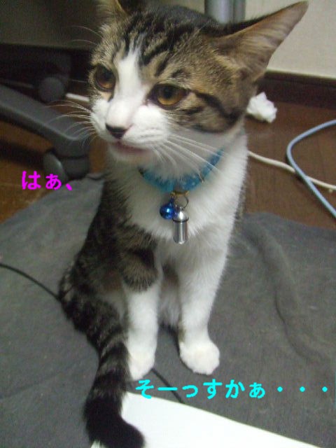 nya??