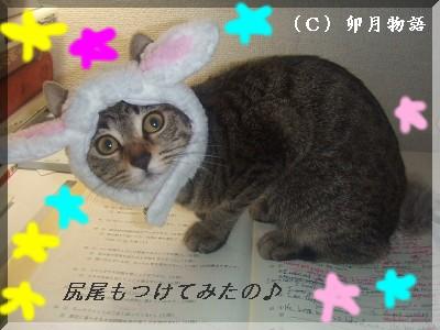 ¤â¤Ã¤È¥â¥Ê¤¦¤µ¡ù
