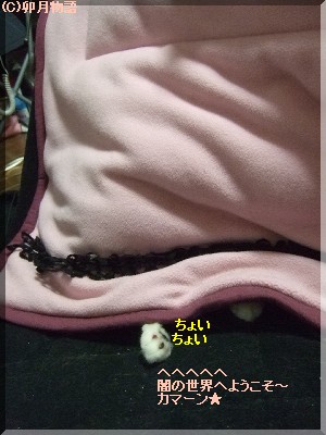 ¤«¤Þ¡¼¤ó