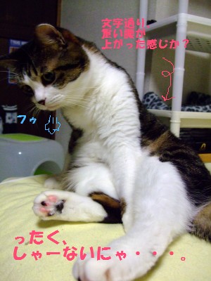 DSCF4223