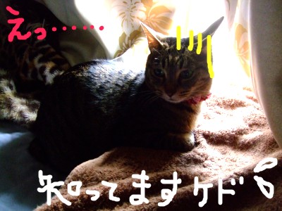 DSCF5892