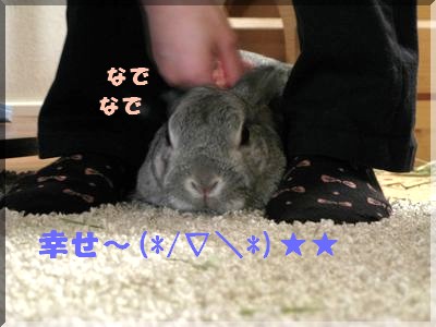 ご満悦なり。