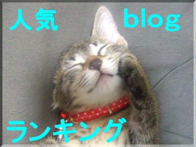 ¿Íµ¤blog¥é¥ó¥¥ó¥°¤Ø