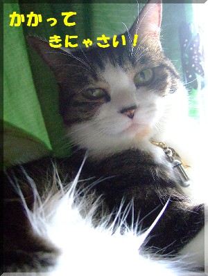 ¤Þ¤µ¤Ë¡¢¥²¥²¥²¤ÎËâ¥ËÂÀϺŪ°ìË硦¡¦¤«¤È(¡¨¡¦¢Ï¡¦)