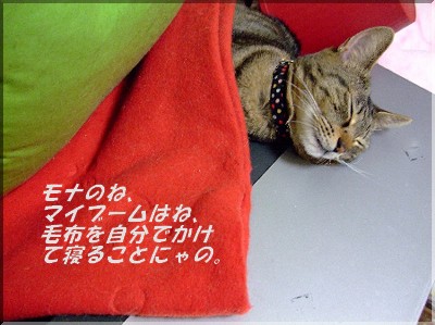 ¥Þ¥¤¥Ö¡¼¥à¡©