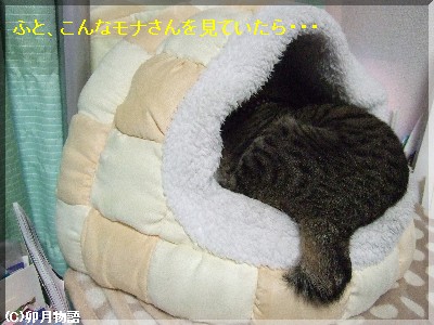 ¡¦¡¦¡¦¤ó¤ó¡©¡©¡©
