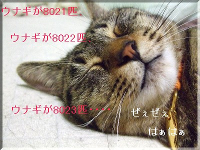 ¥¦¥Ê¥®¤¬¡¦¡¦¡¦