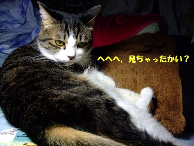 DSCF5778