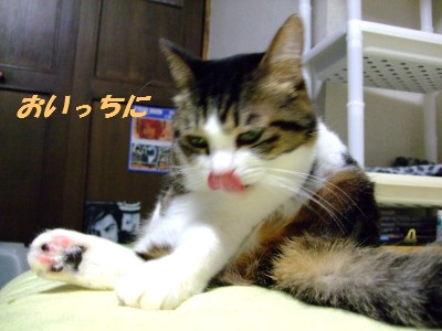 DSCF4222