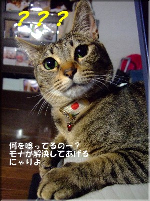 ¥â¥Ê¤µ¤ó¤Ë¼ÁÌä¡£