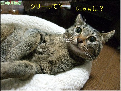 ¥Ä¥ê¡¼¡©¡©¤Ë¤ã¤ó¤¾¤ä¡©