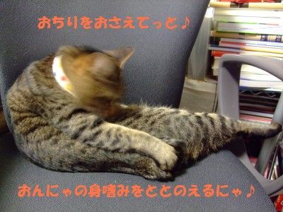 DSCF7989