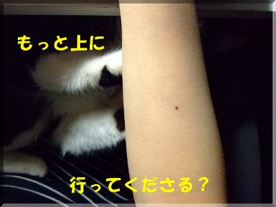 ¥Þ¥Ë¤µ¤ó¤Þ¤Ç¡¦¡¦¡¦