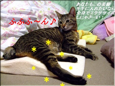 ¤Õ¤Õ¤Õ¤ó¢ö