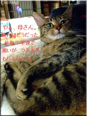 ¤â¤Ã¤µ¤ó¡¢¥ª¥Ã¥µ¥ó²½¤·¤È¤ë¤ä¤ó¤±¤§¦²(Žß§¥Žß¡¨