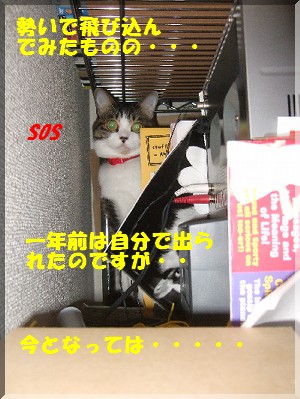 出られず。。