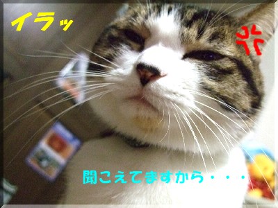 ¥¤¥é¥¤¥é¥¤¥é
