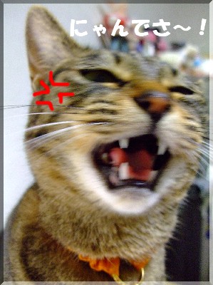 ·ãÅÜ¡ª¡ª¡ª¡ª¡ª