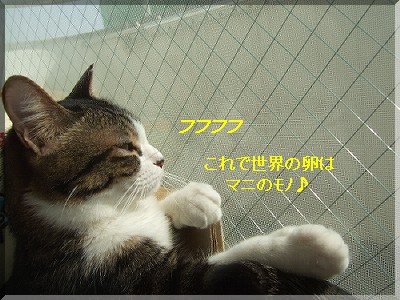 ¤Û¤¯¤½¤¨¤à¥Þ¥Ë¤µ¤ó¡£
