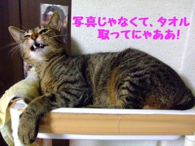 DSCF8566
